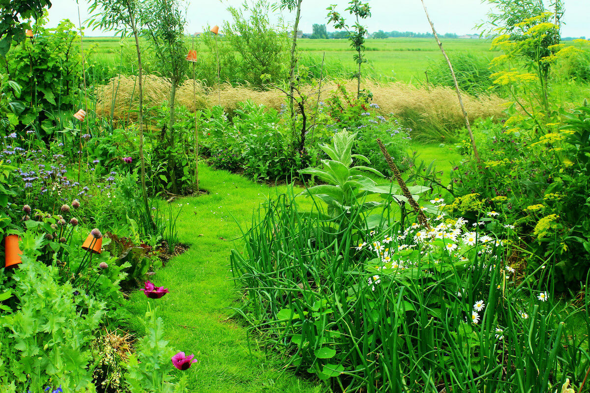 Giardino