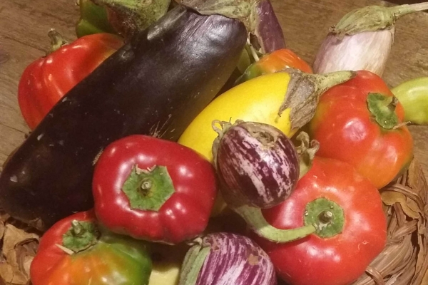 verdure63E3A24E-CA73-C5FB-3A99-55C759E39E7F.jpg